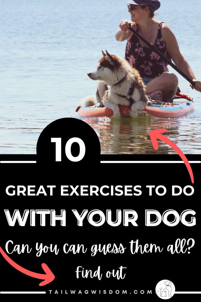 a woman enjoys paddles with her husky for exercises with dogs