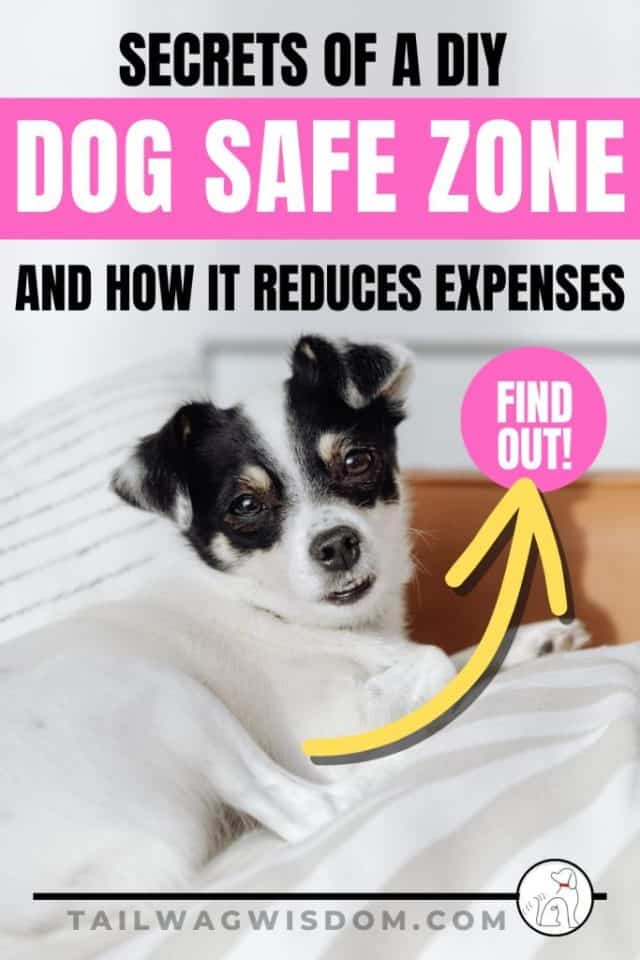 Gallery Detail: Creating Dog Safe Spaces Easy And Cheap