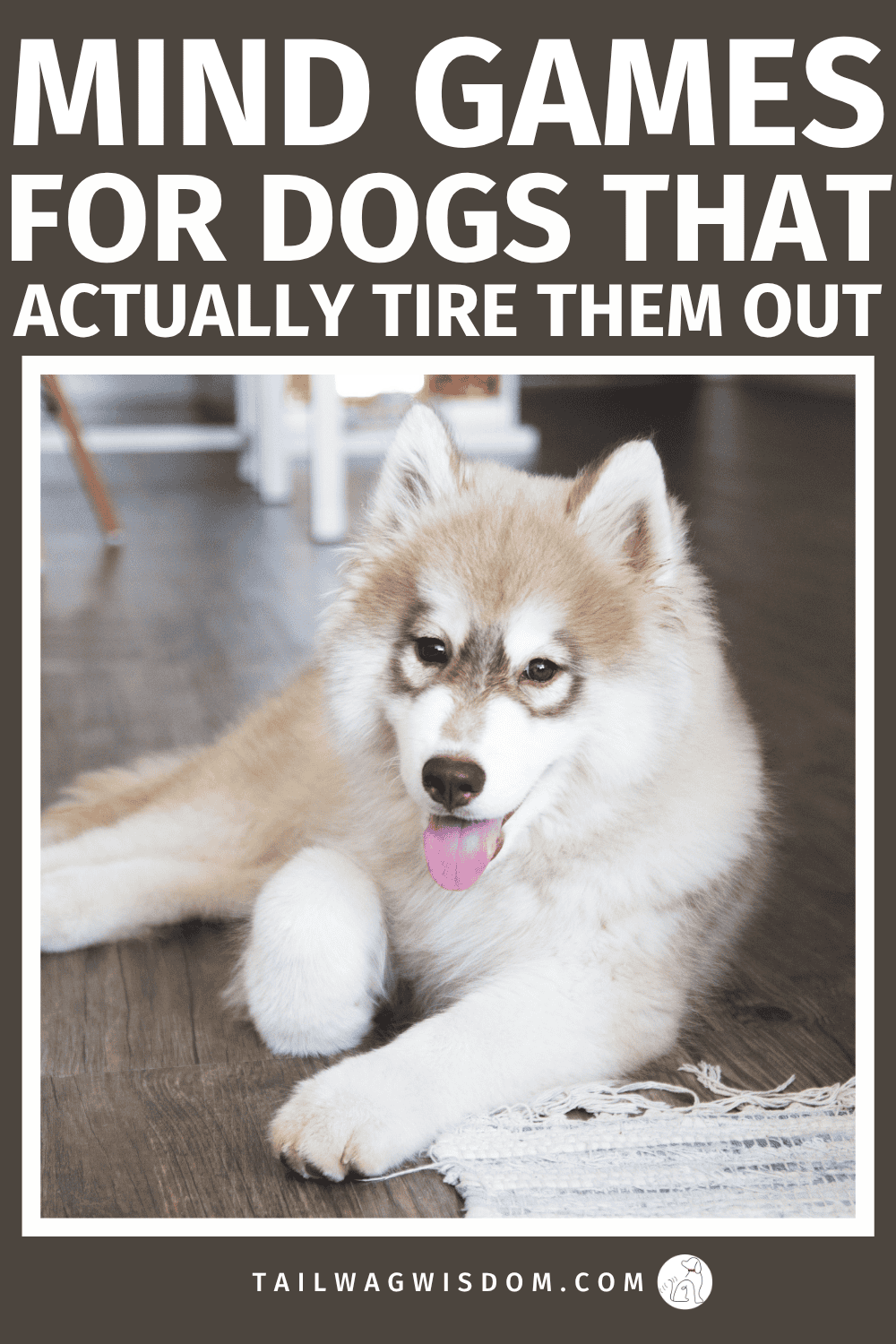 Try these fun brain games for dogs using items you already have at home! These mind games for dogs reduce anxiety, prevent boredom, and keep your dog happy and calm. For more great dog care tips visit tailwagwisdom.com