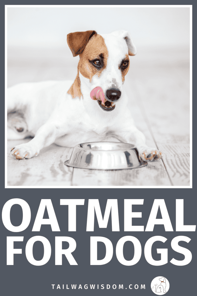 Wondering if oatmeal for dogs is safe? Learn the benefits, risks, and serving tips, plus practical dog health tips, dog care tips, and affordable dog remedies for your pup. For more dog tips, visit tailwagwisdom.com