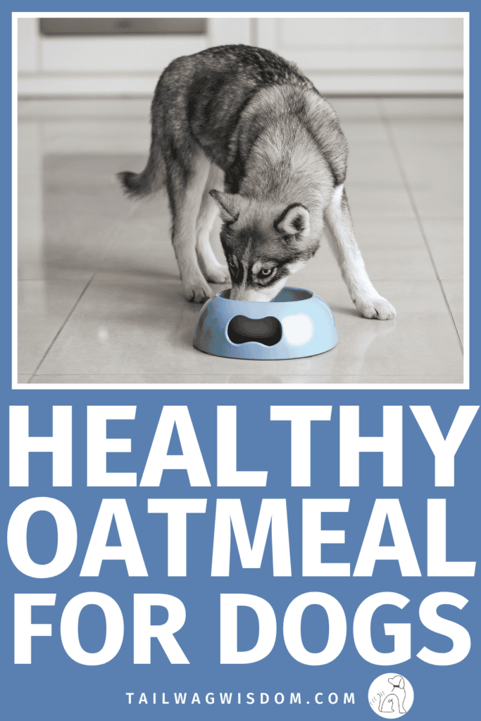 Can dogs eat oatmeal? Discover how oatmeal for dogs can fit into your pup's diet, along with helpful dog care, pet health, and dog health tips for making smart food choices. Discover more dog care tips at tailwagwisdom.com.