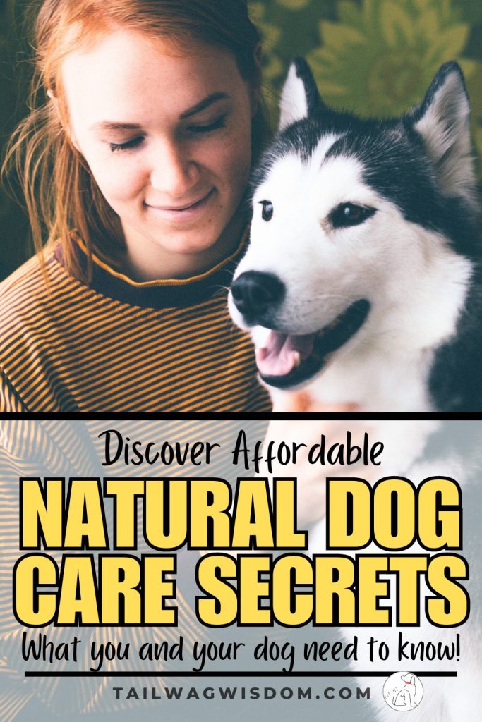 a husky dog responds to holistic dog care treatments
