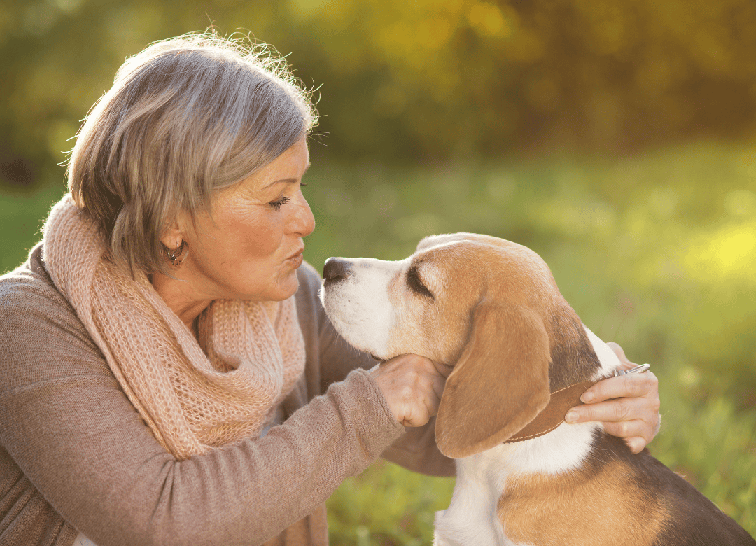 a dog owner learned the secrets of how a vet extends a dog's lifespan for free and kisses her senior pup