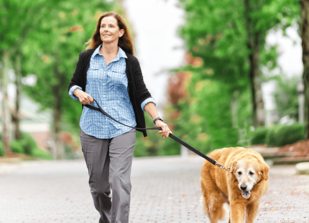 dog owner walks her dog for exercise to help health and longevity and as the secret to how a vet extends a dog's lifespan