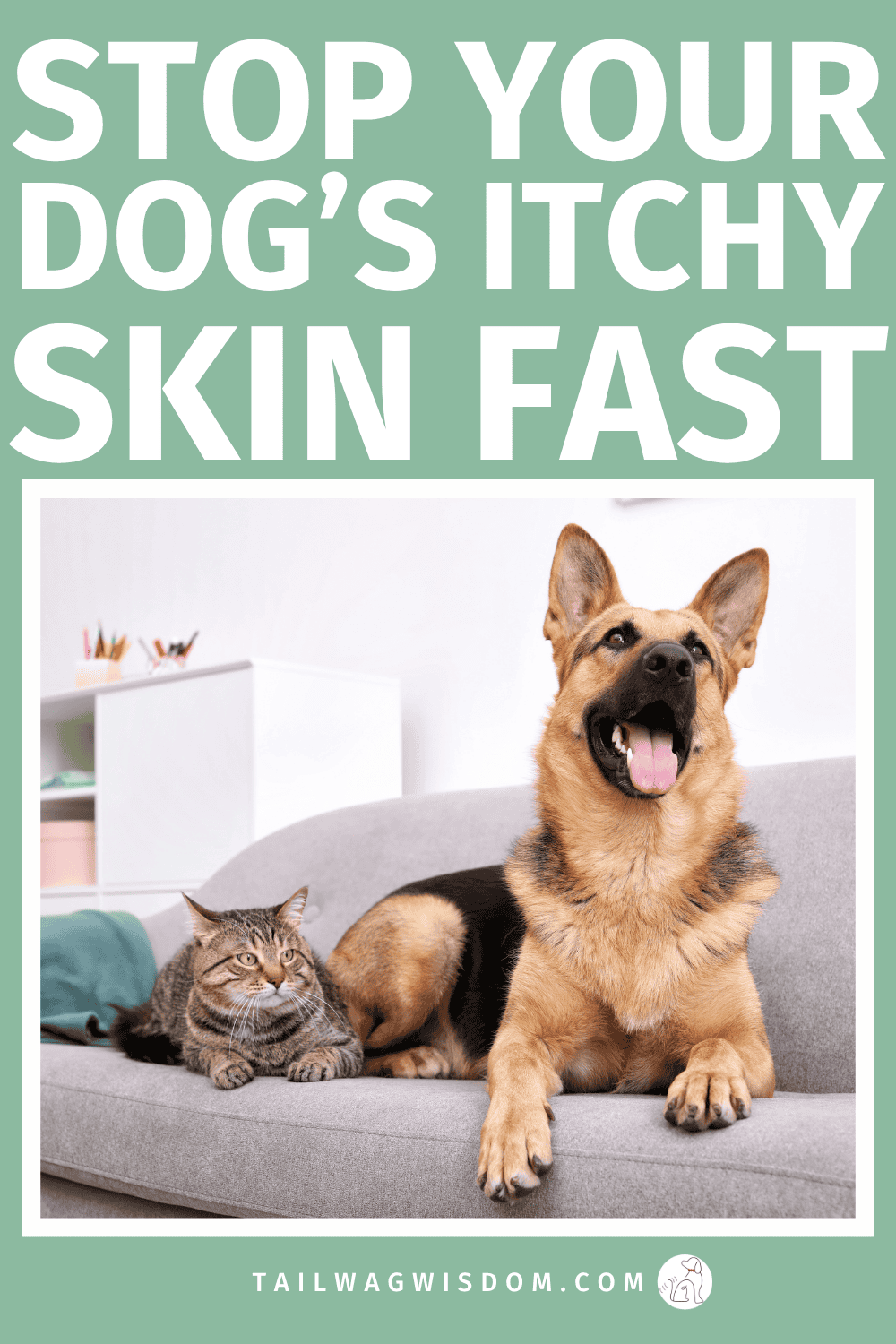 Looking for remedies for dog dry skin? Try these natural, affordable solutions to soothe itchy skin fast. It's easy home dog care that your pup will love. For more great dog tips visit us at tailwagwisdom.com
