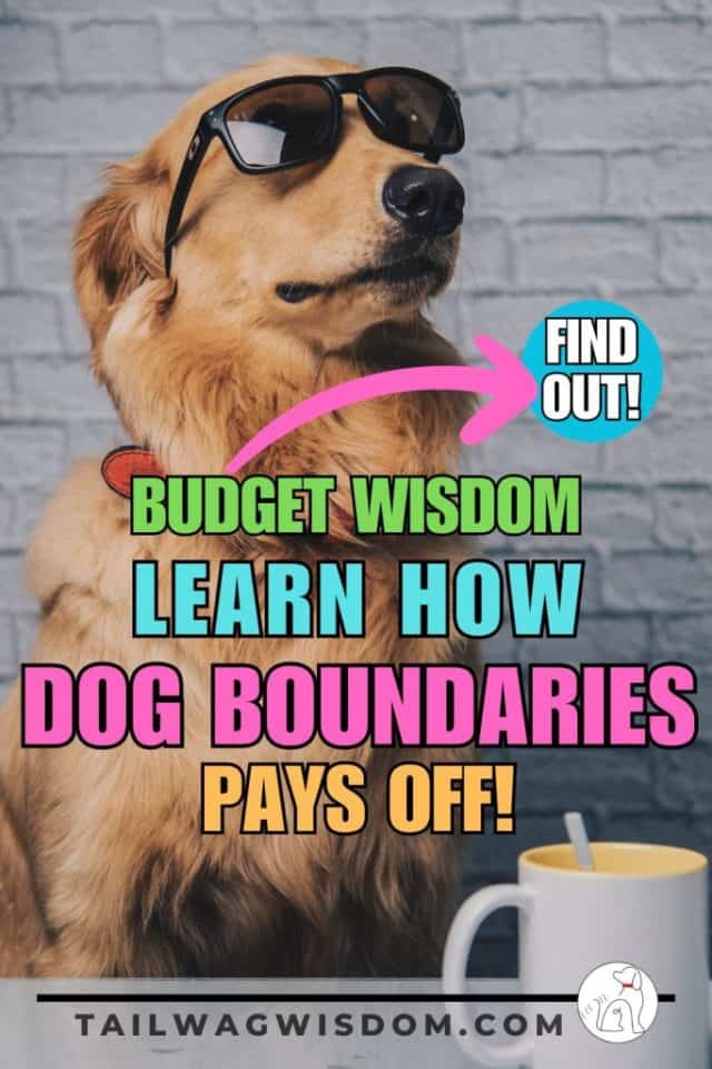 Why Teaching Dog Boundaries Saves Money? Tail Wag Wisdom