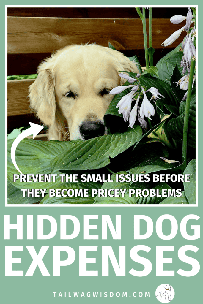 Unexpected vet bills and everyday costs add up fast. Discover the biggest hidden dog expenses, practical dog care tips, smart dog hacks, and ways to save money without sacrificing your dog's health. For more great dog care tips visit tailwagwisdom.com