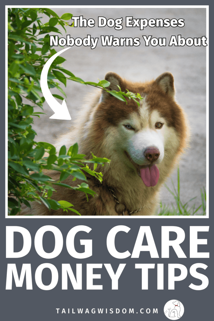 Want to spend less and still give your pup the best? Learn how to avoid hidden dog expenses with smart dog care, budget-friendly dog necessities, and money-saving tips every dog mom will appreciate. Get more dog care tips at tailwagwisdom.com