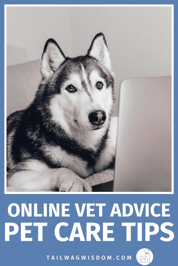 Not sure if your dog needs an emergency visit or just some solid pet health guidance? Online vet advice gives dog moms a practical, affordable first step. Learn what it costs and when it makes sense. For more dog care tips, visit tailwagwisdom.com