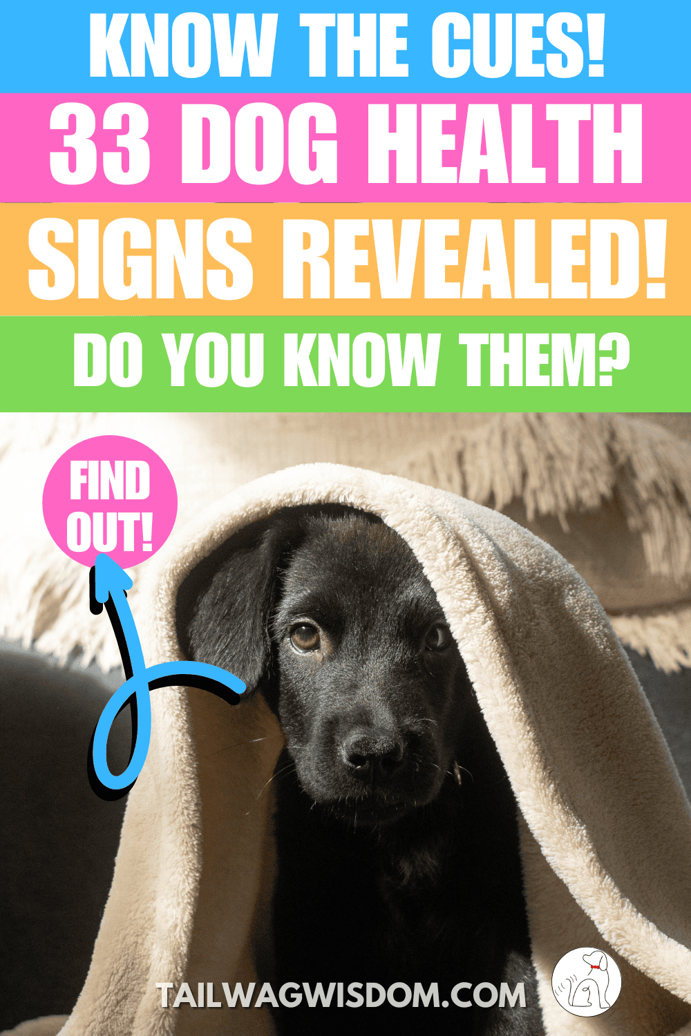 33 Signs Your Dog Needs a Vet