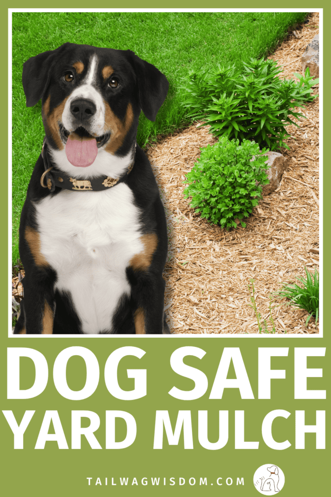 Choosing the right dog safe mulch can protect your pup and your wallet. Discover the best options for a dog yard, safer landscaping, and practical dog care tips for dog lovers. For more dog yard tips, visit tailwagwisdom.com