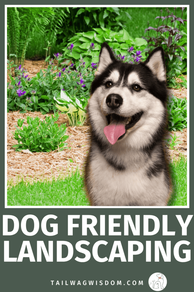 Create a safer backyard dog area with the right dog safe mulch. Learn smart dog hacks, budget-friendly yard ideas, and simple ways to build a more dog friendly outdoor space. Get more dog yard ideas at tailwagwisdom.com