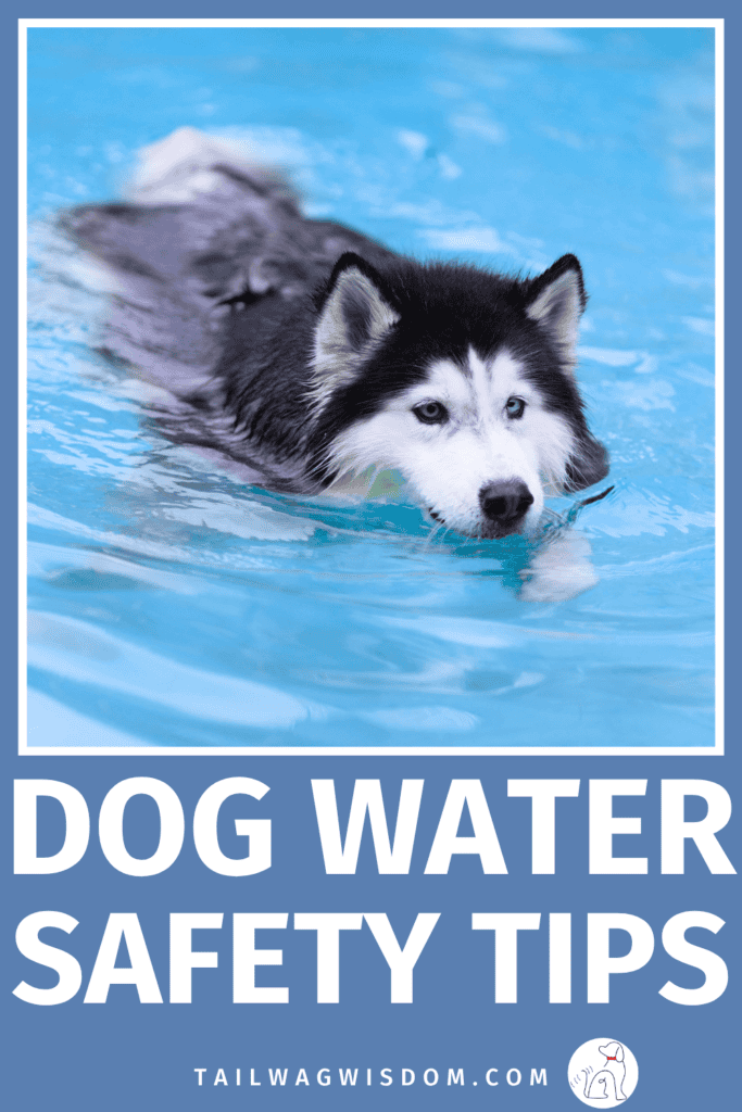 Keep your pup safe around lakes, pools, and beaches with these essential dog water safety tips. Learn practical dog care tips, important dog health tips, and advice every dog mom should know. Find more dog tips at tailwagwisdom.com