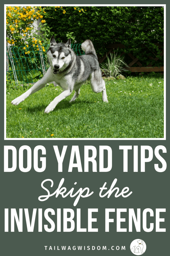 An invisible dog fence might seem like an easy solution, but there are better dog yard options that keep your pup safe and give you real peace of mind. Simple, practical, and worth the read. For more dog mom tips, visit tailwagwisdom.com
