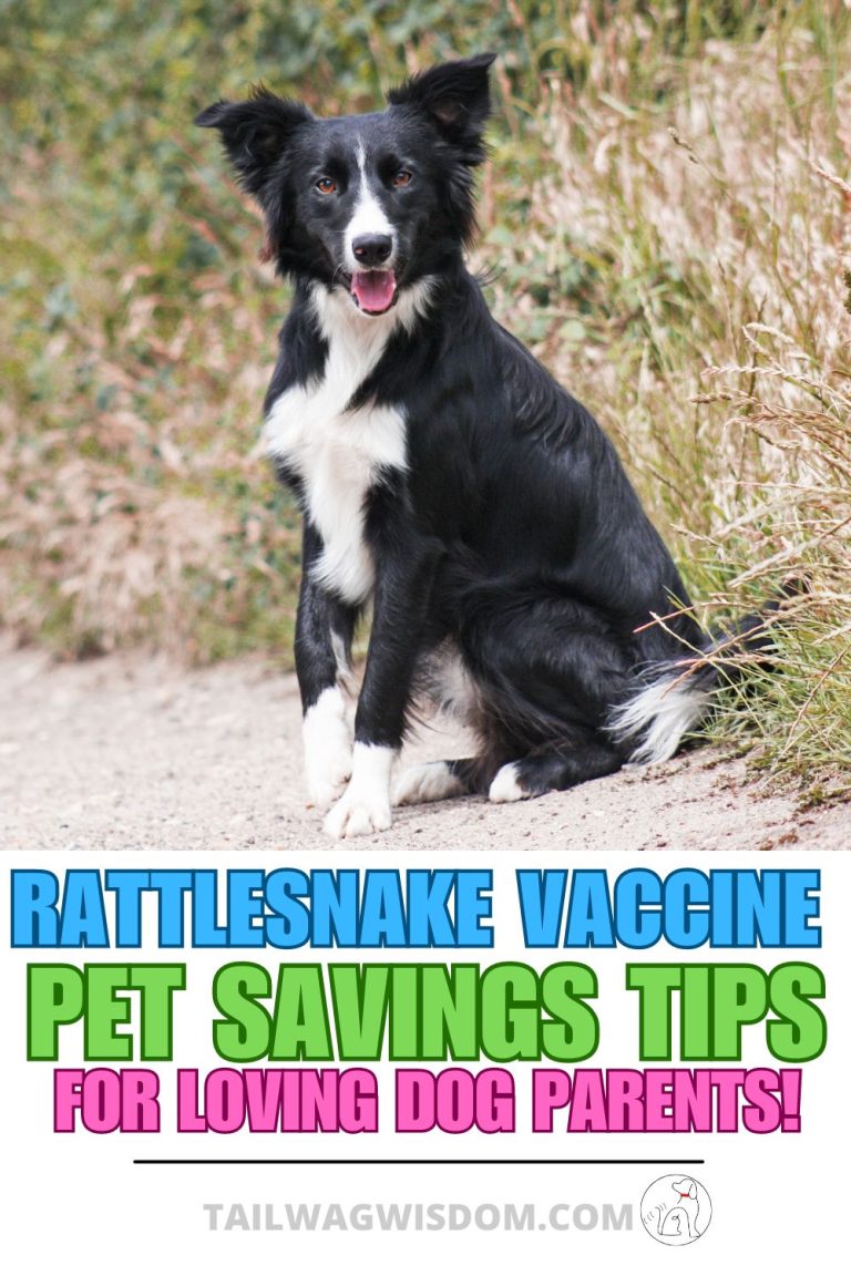 Dog Rattlesnake Vaccine Debunked: What’s Best for Your Pup? - Tail Wag ...