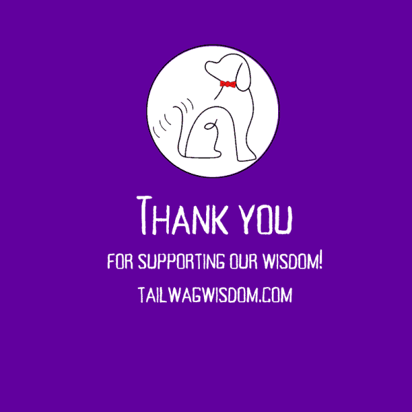 Dog Halloween Bundle - Image 9