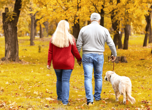 a couple walks their best furry friend on their dog date