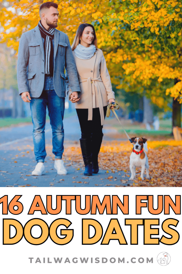 These romantic dog date couple activities make a date with your dog unforgettable. Dog friendly date ideas and dog play date ideas are perfect for fall nights, creating the best dog date memories. For more great ideas for dog lovers visit tailwagwisdom.com.