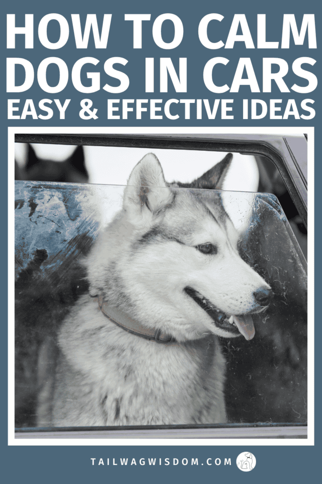 Learn how to calm anxious dogs in cars with simple dog travel tips that actually work. Reduce dog anxiety, prevent stress, and make car rides easier for your pup. Discover more great dog care tips at tailwagwisdom.com