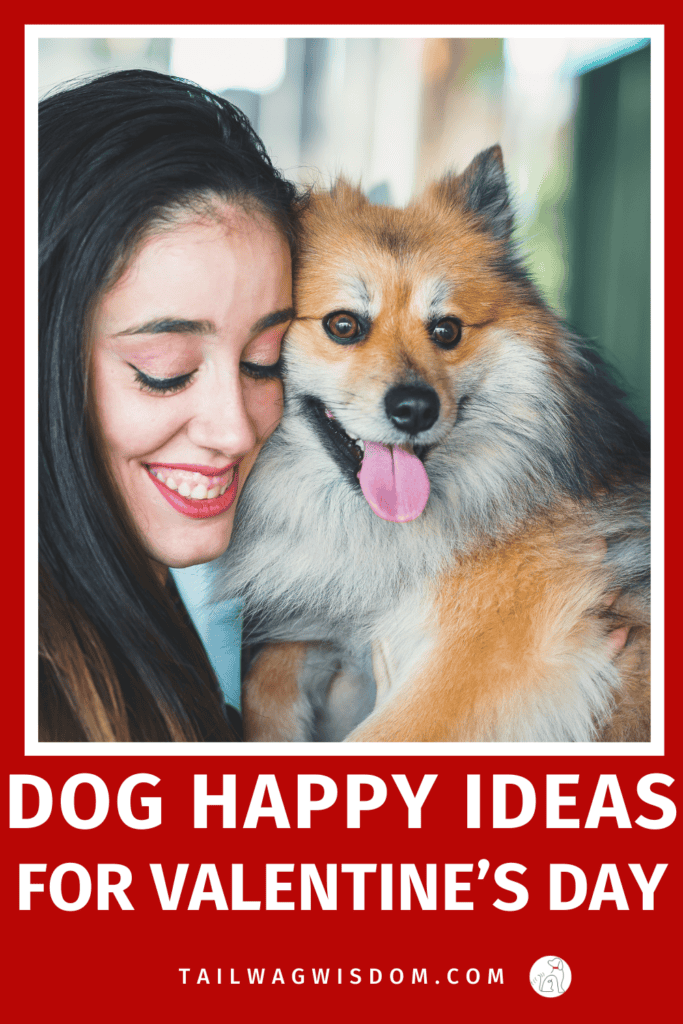 Make your dog happy this Valentine’s Day with easy dog gift ideas, dog activities, and dog hacks that show your pup some extra love. For more fun ideas for dog lovers visit us at tailwagwisdom