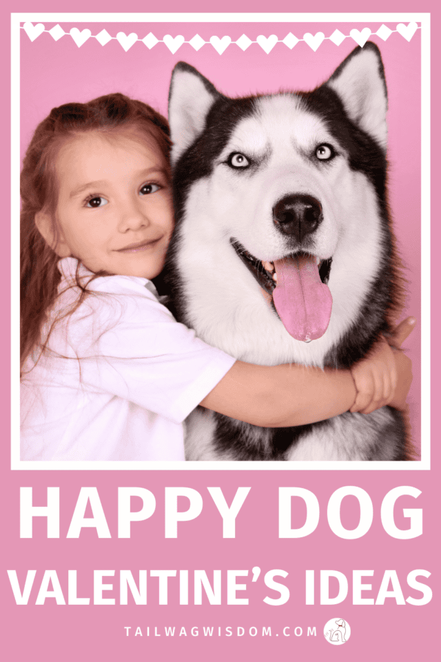 Looking for simple ways to keep your dog happy? Try these fun dog life ideas, dog mom treats, and dog friendly Valentine surprises your pup will love. For more great ideas for dog moms visit us at tailwagwisdom.com