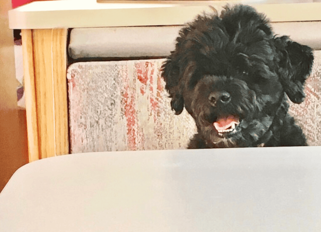 Henry has left the country or needed to worry about the CDC rules yet