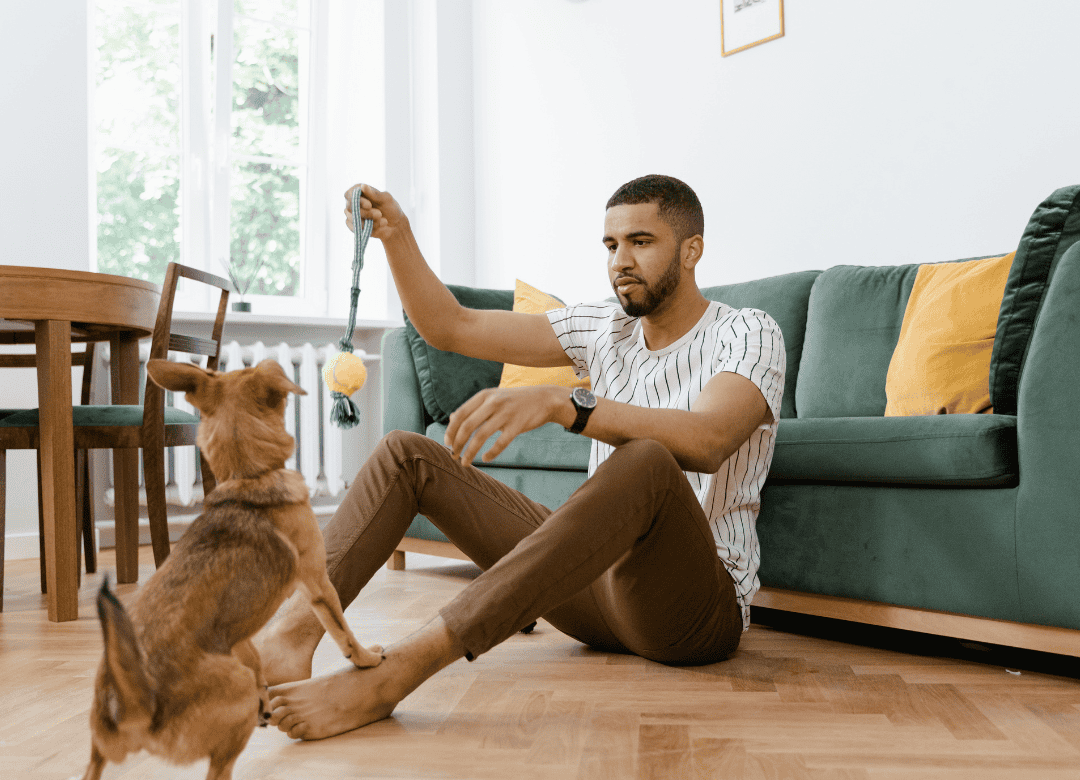 a man trains his pup to stop his dog digging his furniture