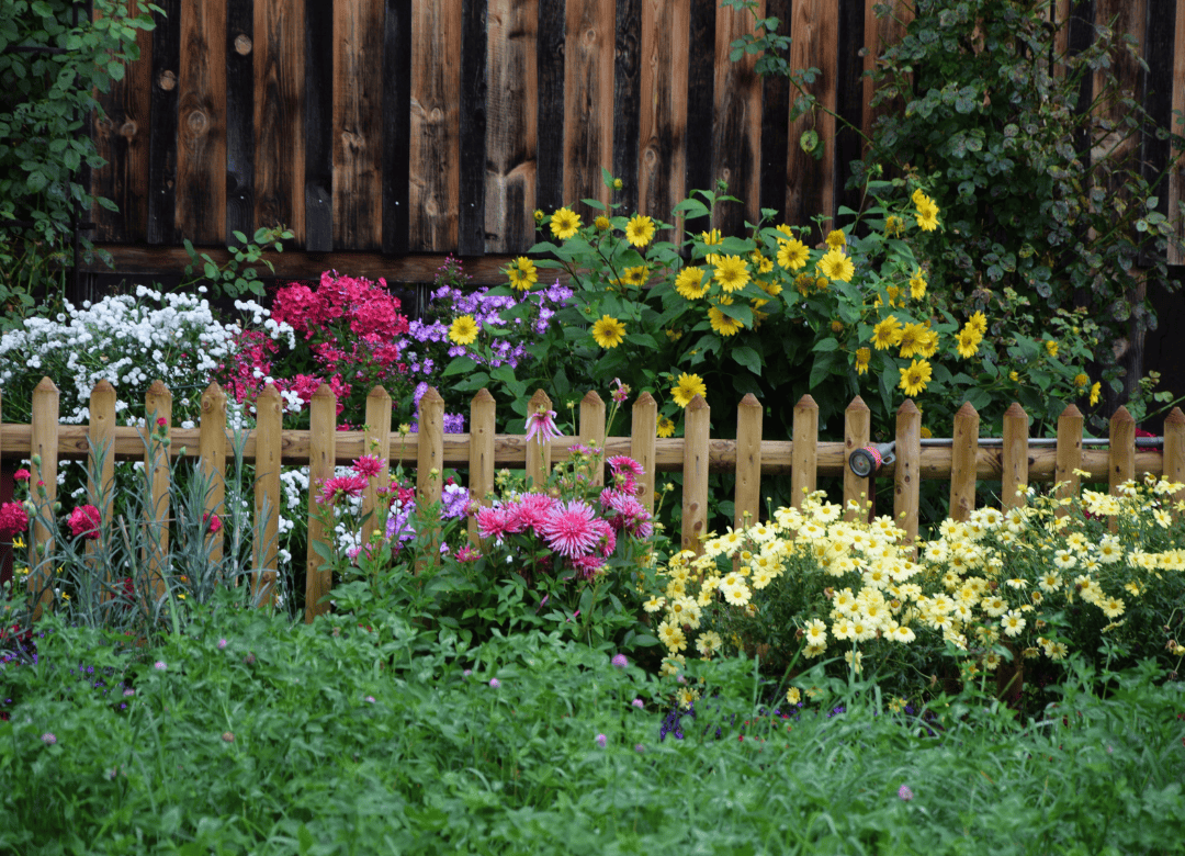 watching out for tangle hazards like short border fences and sharp edges is a good idea for a safe dog yard