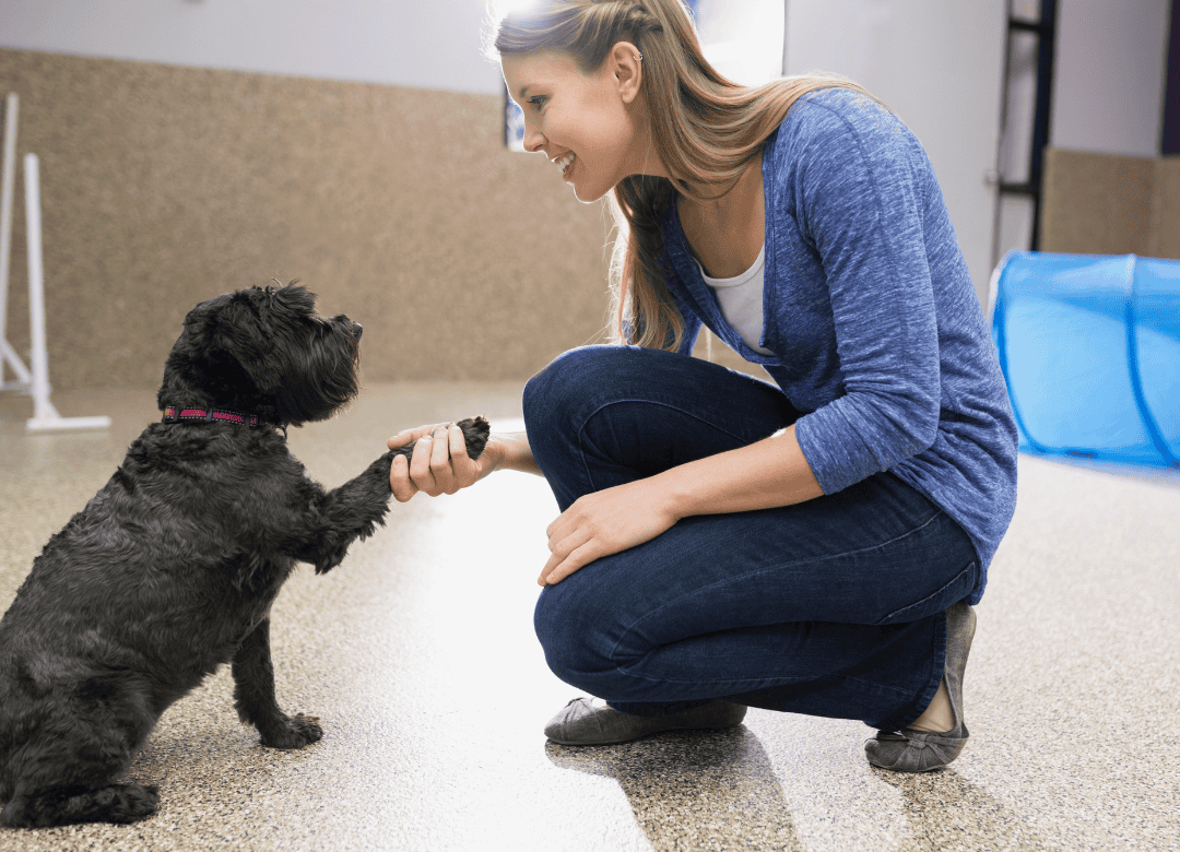 how long does a dog trainer vs behaviorist to take for results