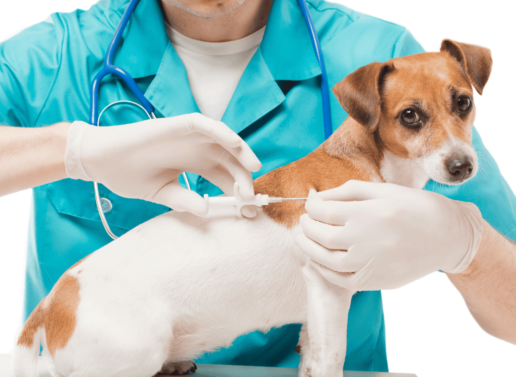 FLIPBOARD USERS - PETS