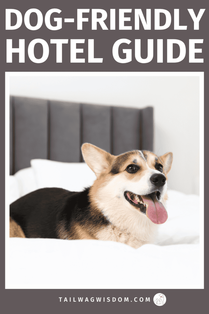 Planning a trip with your pup? Learn how to find the best dog-friendly hotel using smart dog travel tips, helpful pet travel advice, and must-know details every dog mom should check before booking. For more great dog tips, visit tailwagwisdom.com