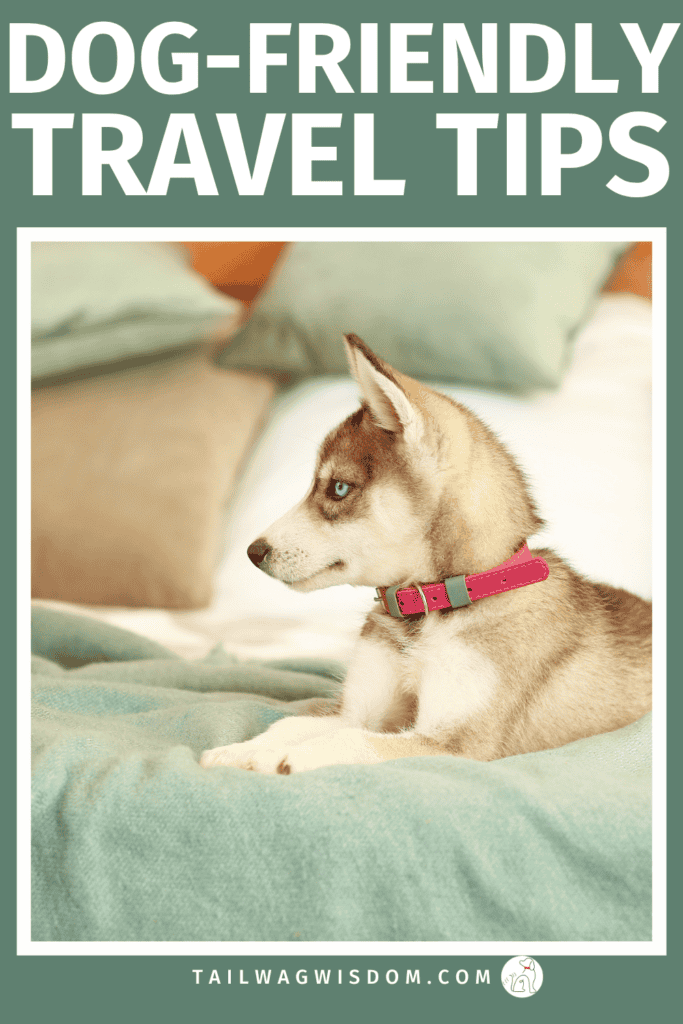 Not all hotels truly welcome dogs. Discover how to choose a safe dog-friendly hotel with practical dog care tips, adventure dog travel advice, and stress-saving hacks for dog lovers. For more great tips for dogs, visit tailwagwisdom.com