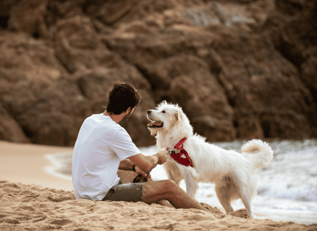 a man soothes his dog with anxiety