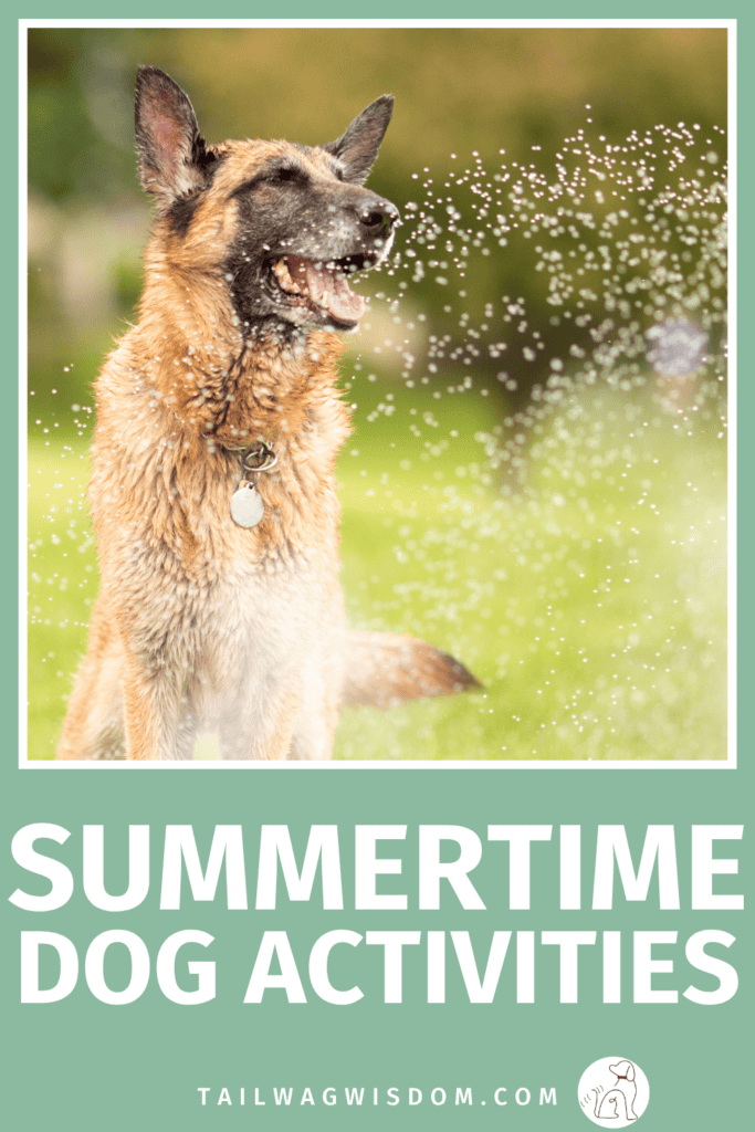 Keep your pup happy all season with affordable summertime dog activities that provide dog enrichment, fun dog activities, and healthy dog exercise without spending a fortune. For more dog tips, visit tailwagwisdom.com