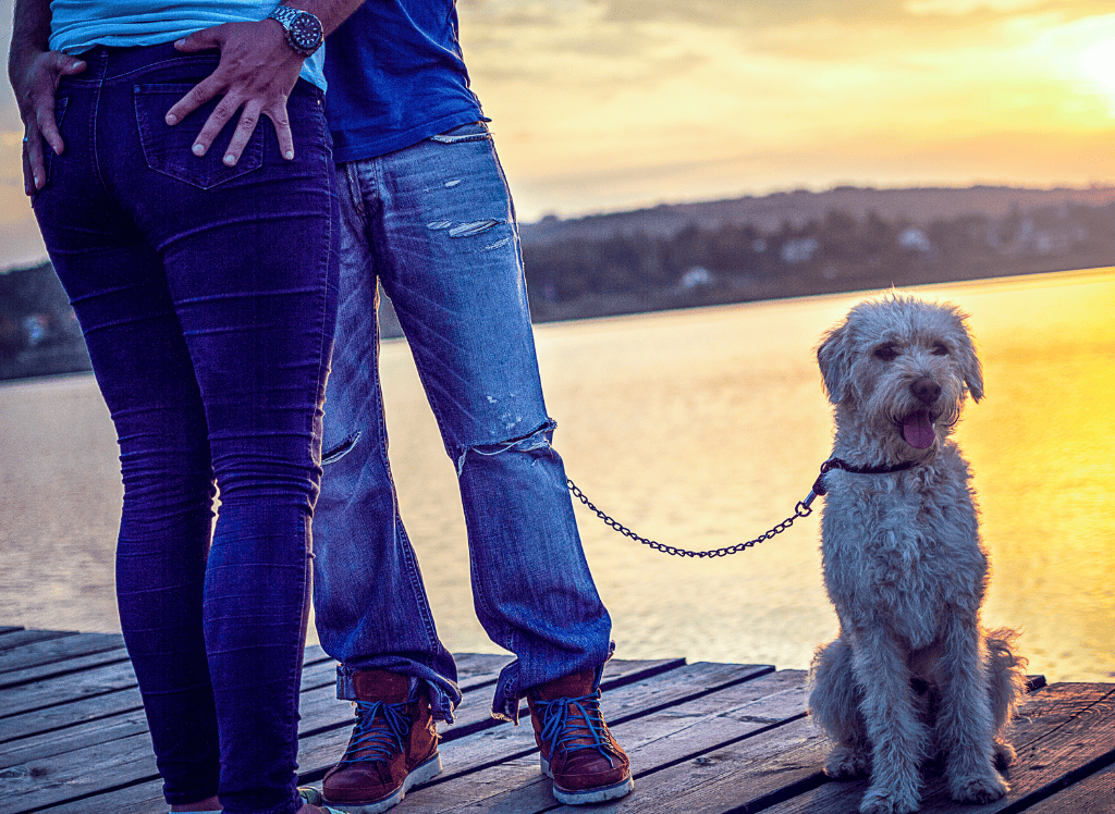 a couple enjoys a date with their dog