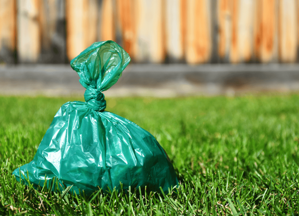 a dog poop disposal bag sits on grass
