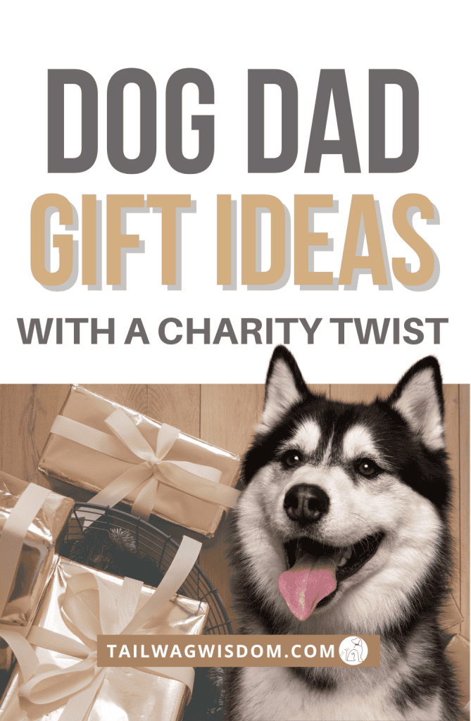 husky sits with gifts