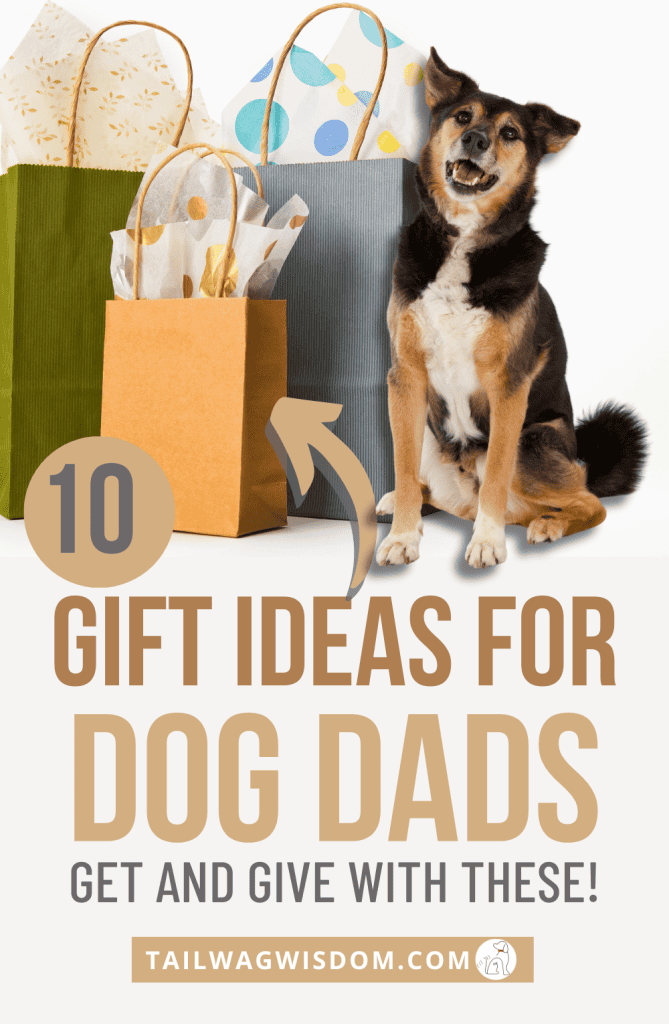 Dog sits with gifts