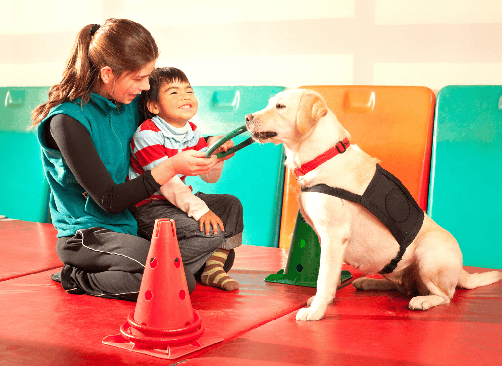 a therapy dog works with a kid