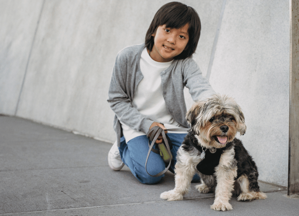 a happy kid pets a happy small dog and busts the small dog myths about little dogs being aggressive