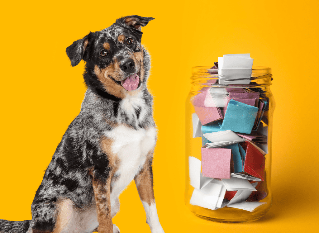 a dog sits next to a journaling jara