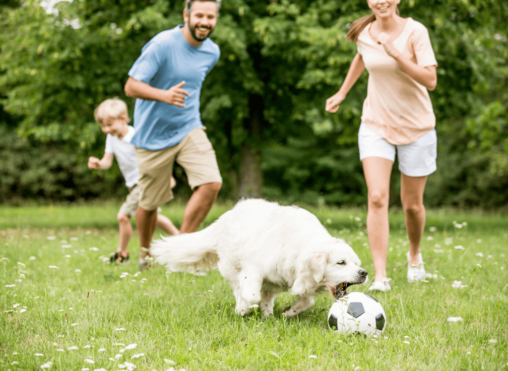 a family plays soccer with their dog