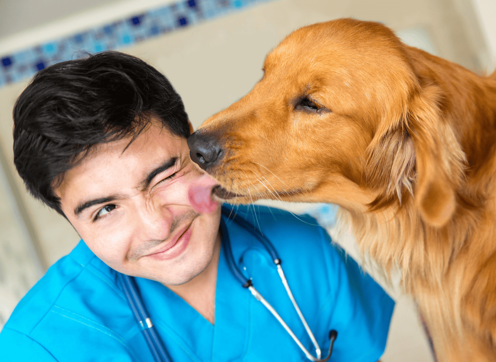 a vet gets a kiss from a golden retriever