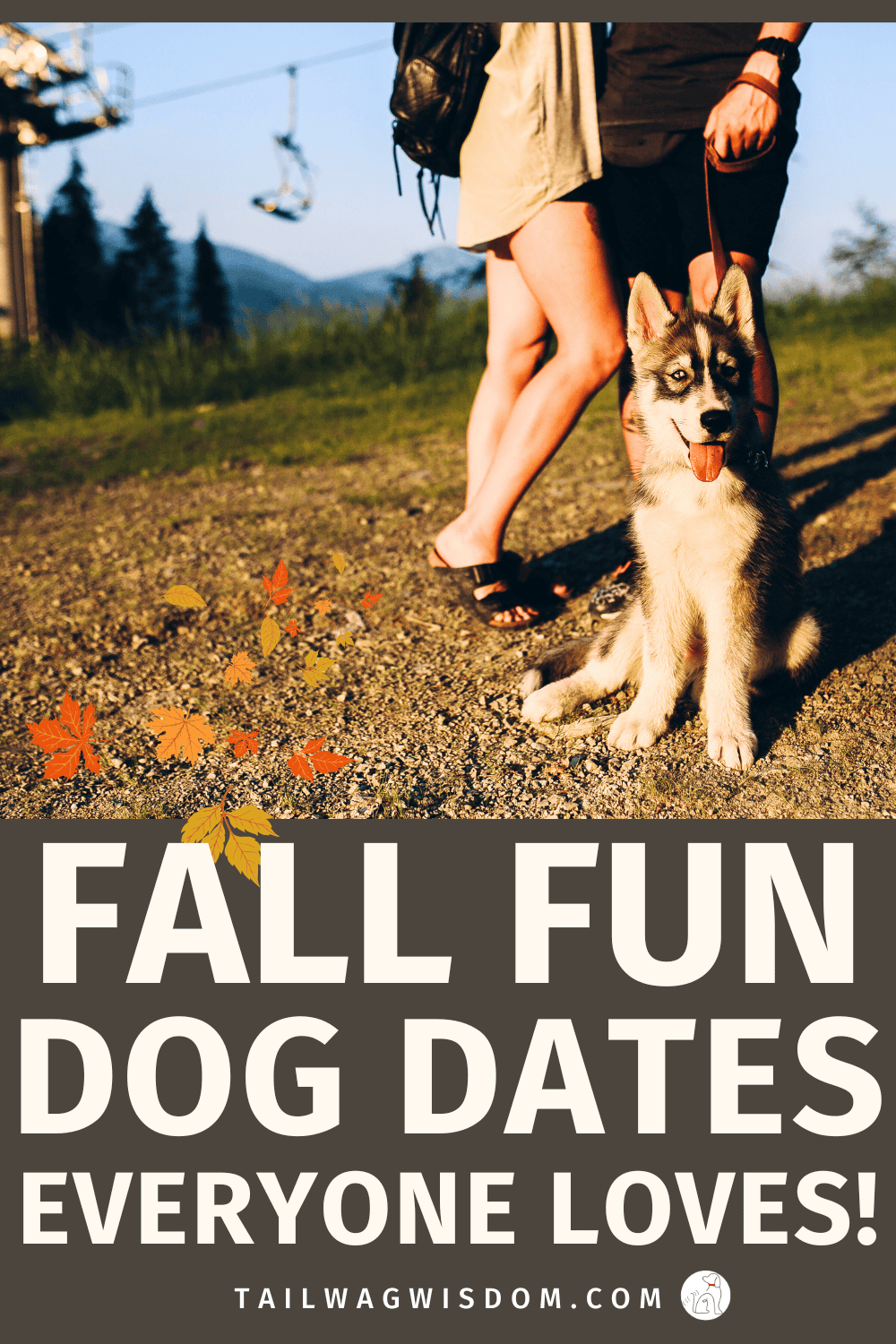 Looking for dog friendly date ideas? These cozy fall dog date ideas make any date night with dog or dog date couple outing unforgettable. Try fun dog play date ideas, enjoy crisp evenings, and discover new ways to make a date with your dog special. For more great ideas for dog lovers visit tailwagwisdom.com.