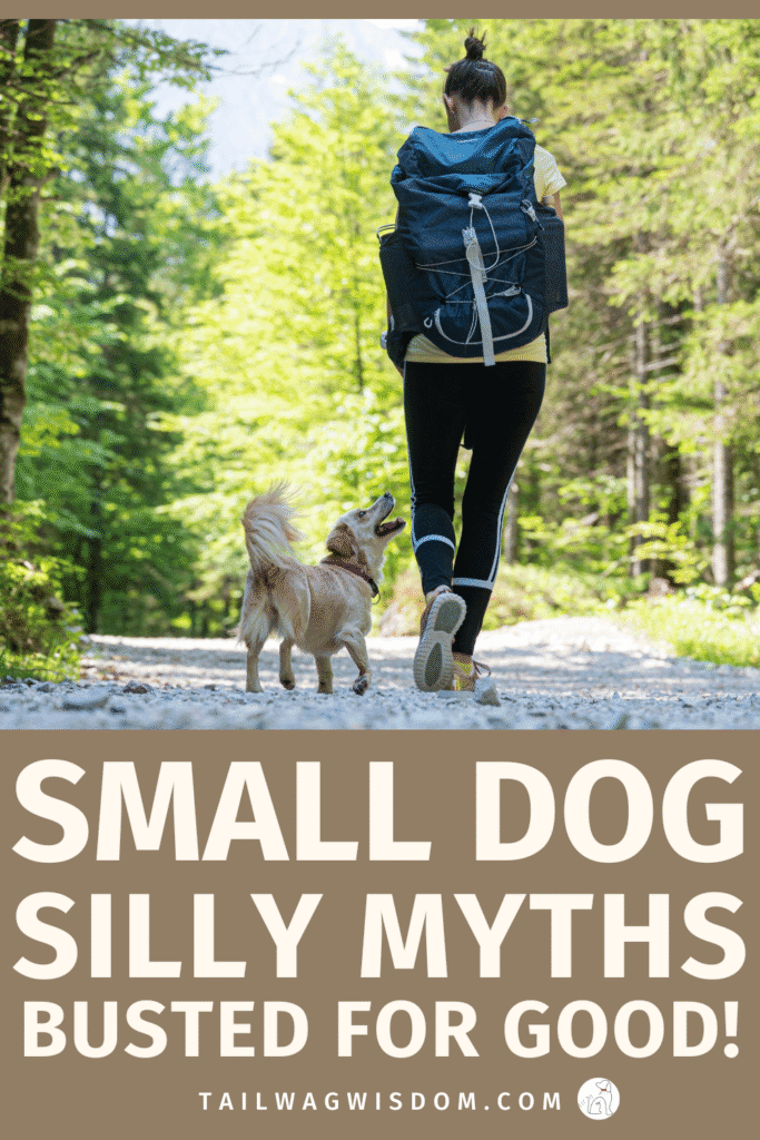 Think small dogs are always yappy or can't hike? Think again! This post busts common small dog myths every dog lover should know. A must-read for every dog mom with a pint-sized pup who breaks the stereotypes. Discover more great tips and ideas for dog lovers at tailwagwisdom.com.