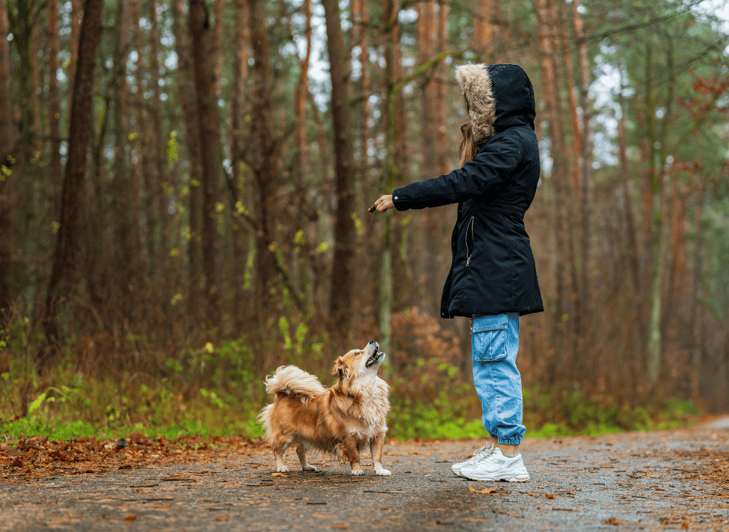 a woman with a dog while walking