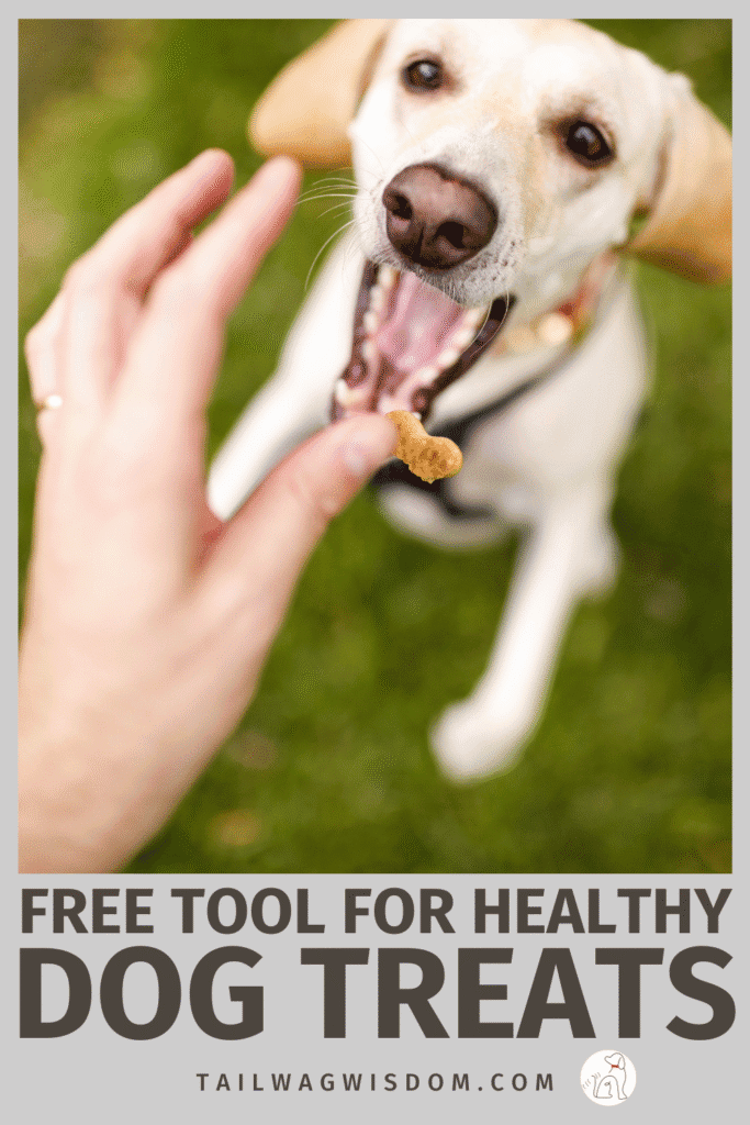 Try our one-of-a-kind free tool that helps you pick the perfect dog treats. With easy homemade options like pumpkin, peanut butter, and banana, you’ll know exactly what your pup will love. Find more great dog tips at tailwagwisdom.com