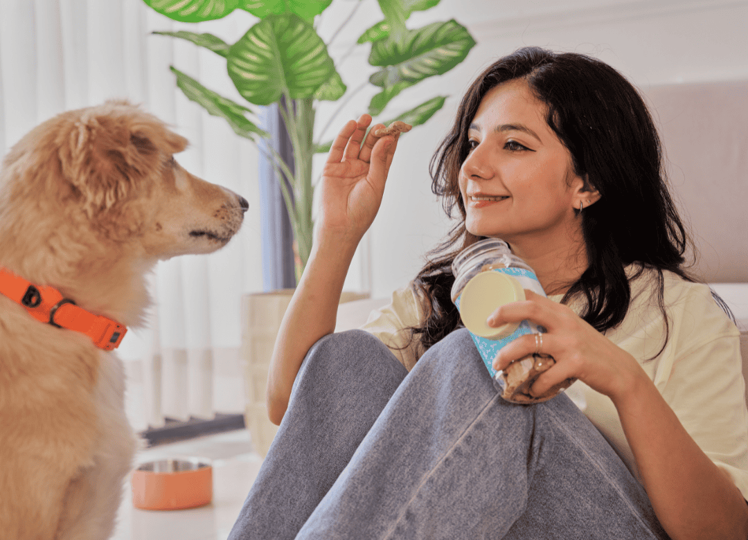 homemade dog treats are enjoyed by a dog