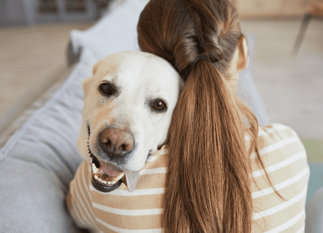 a cute white lab mix cuddles with his dog mom