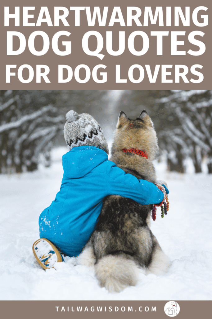 Explore sweet and funny dog lover quotes feelings, dog mom vibes, and paw-fect sayings. Great for dog lovers and pet gift ideas! Get more great dog lover ideas at tailwagwisdom.com